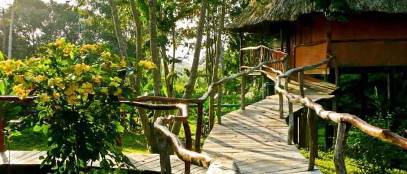 Cotton Tree Lodge San Felipe  Exterior photo