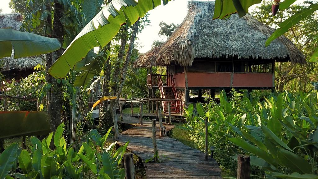 Cotton Tree Lodge San Felipe  Exterior photo