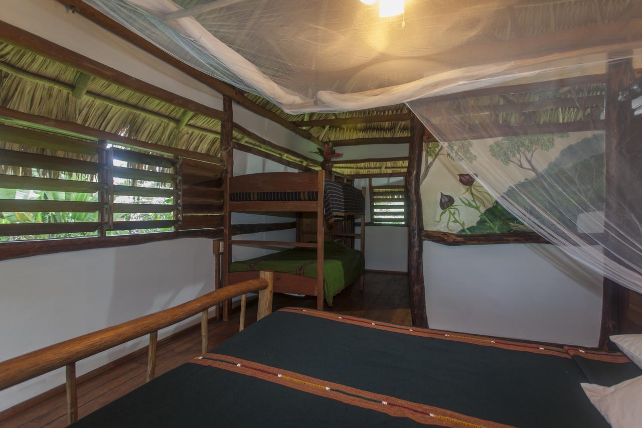 Cotton Tree Lodge San Felipe  Exterior photo