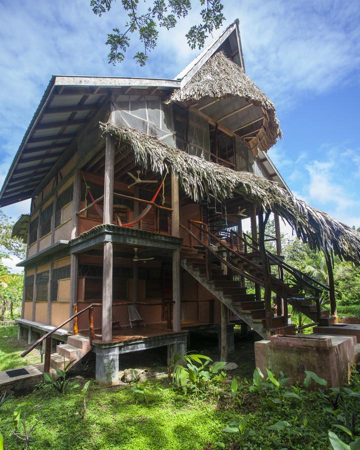Cotton Tree Lodge San Felipe  Exterior photo