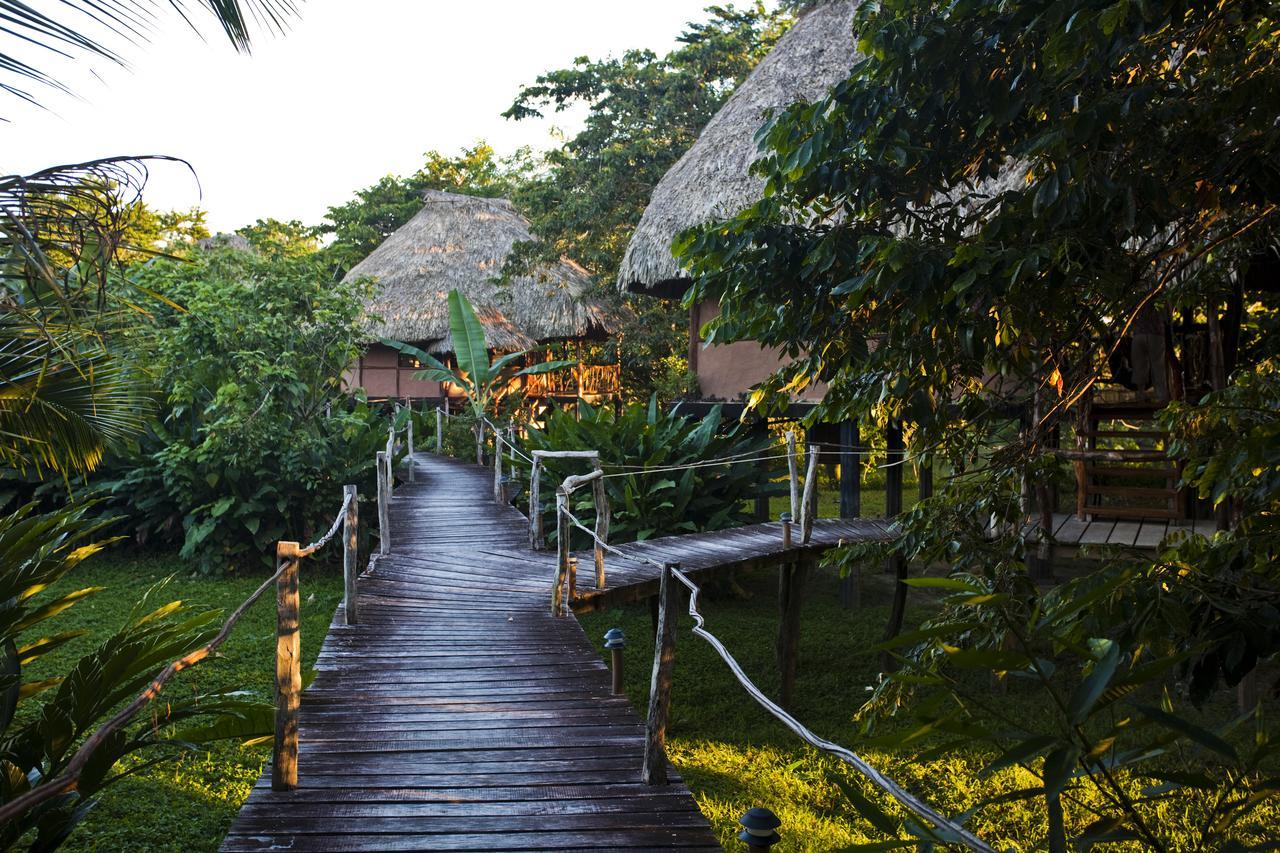 Cotton Tree Lodge San Felipe  Exterior photo